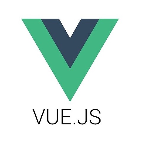 vue js training classes.png